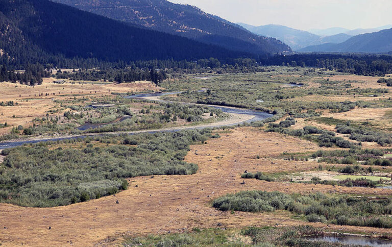 River advocates list Clark Fork among top 10 endangered streams